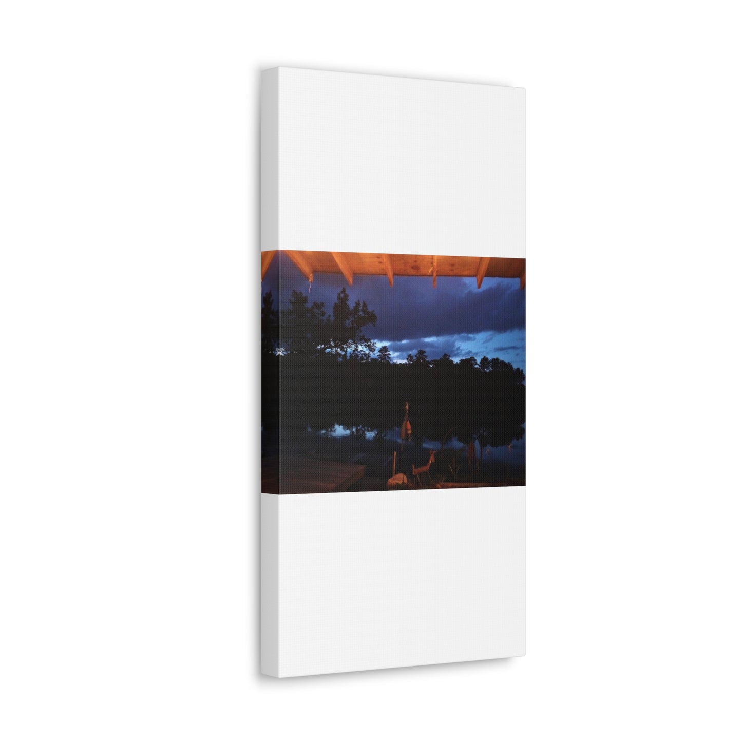 Canvas Gallery Wraps