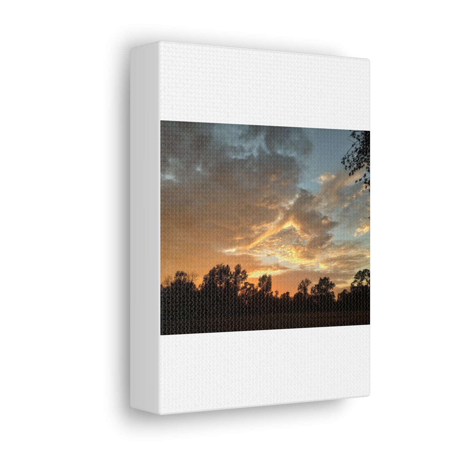 Canvas Gallery Wraps