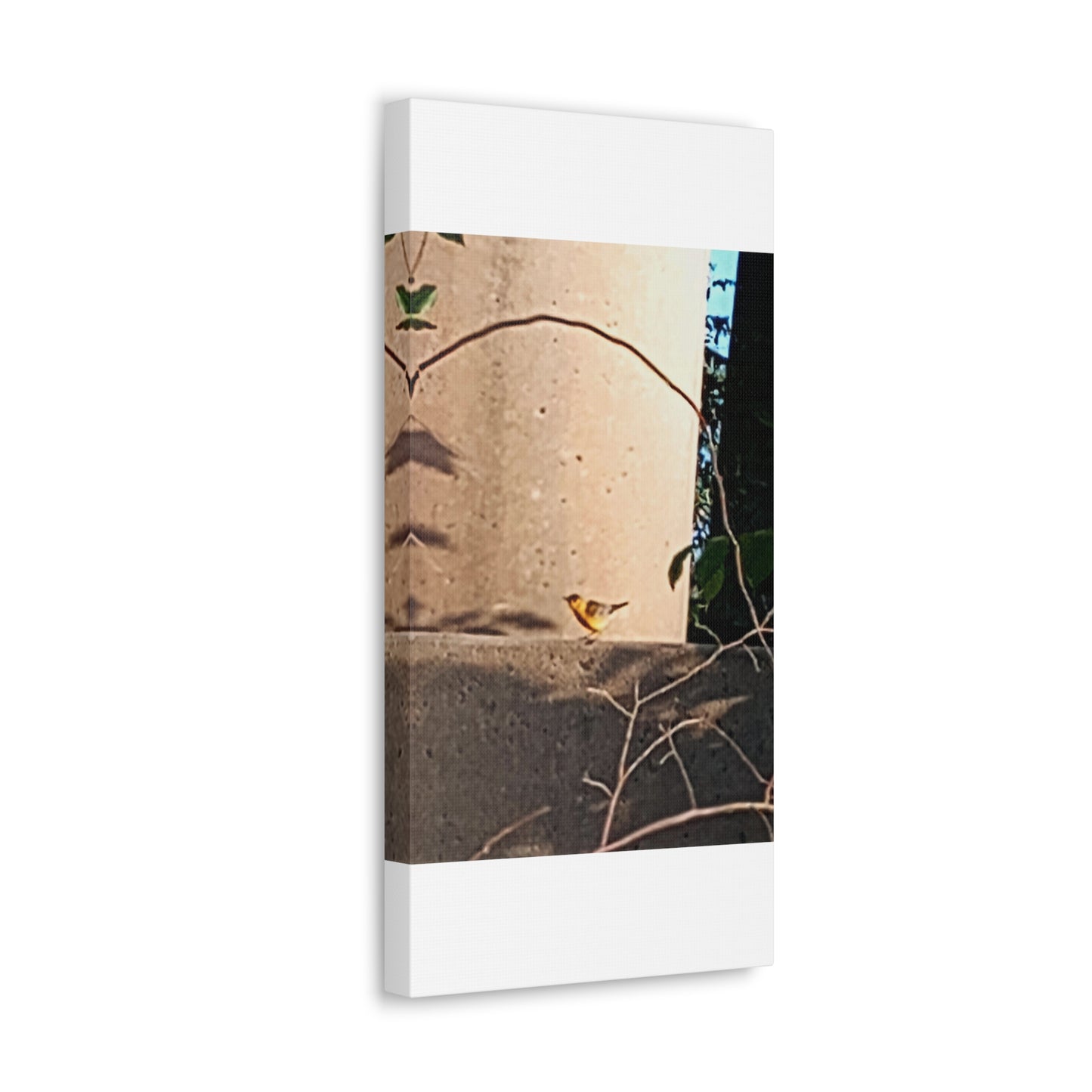 Canvas Gallery Wraps